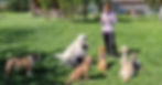 Sarah Boder en cours d'éducation canine à Bienne