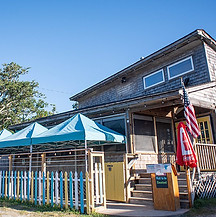 oyster company.jpg