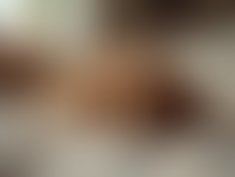 Understanding the Role of Pet Foster Networks in Pet Fostering Assistance