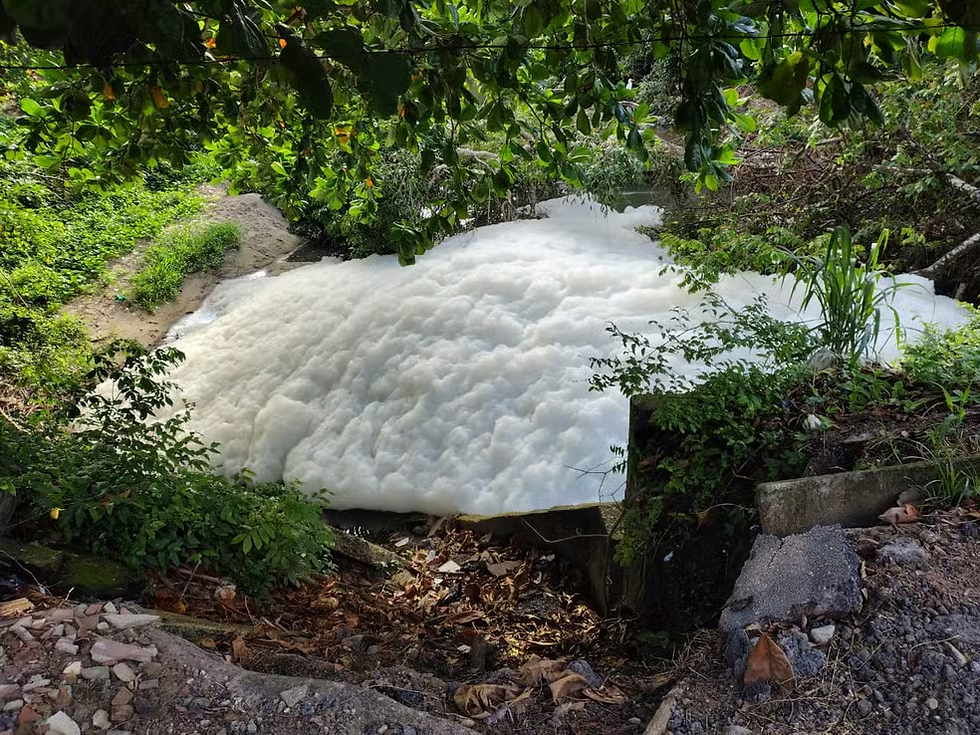 A imagem mostra uma grande quantidade de espuma branca no Rio Jaguaribe, em João Pessoa, Paraíba. 