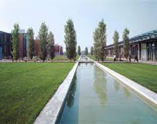 Cura di giardini, parchi e siepi. Chiama Subito per un preventivo dettagliato! Specializzati in realizzazione e Manutenzione Giardini e cura aree verdi. Contattaci.