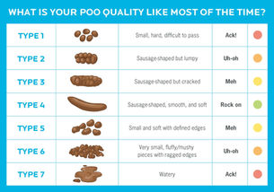 Let's Talk About Poo!