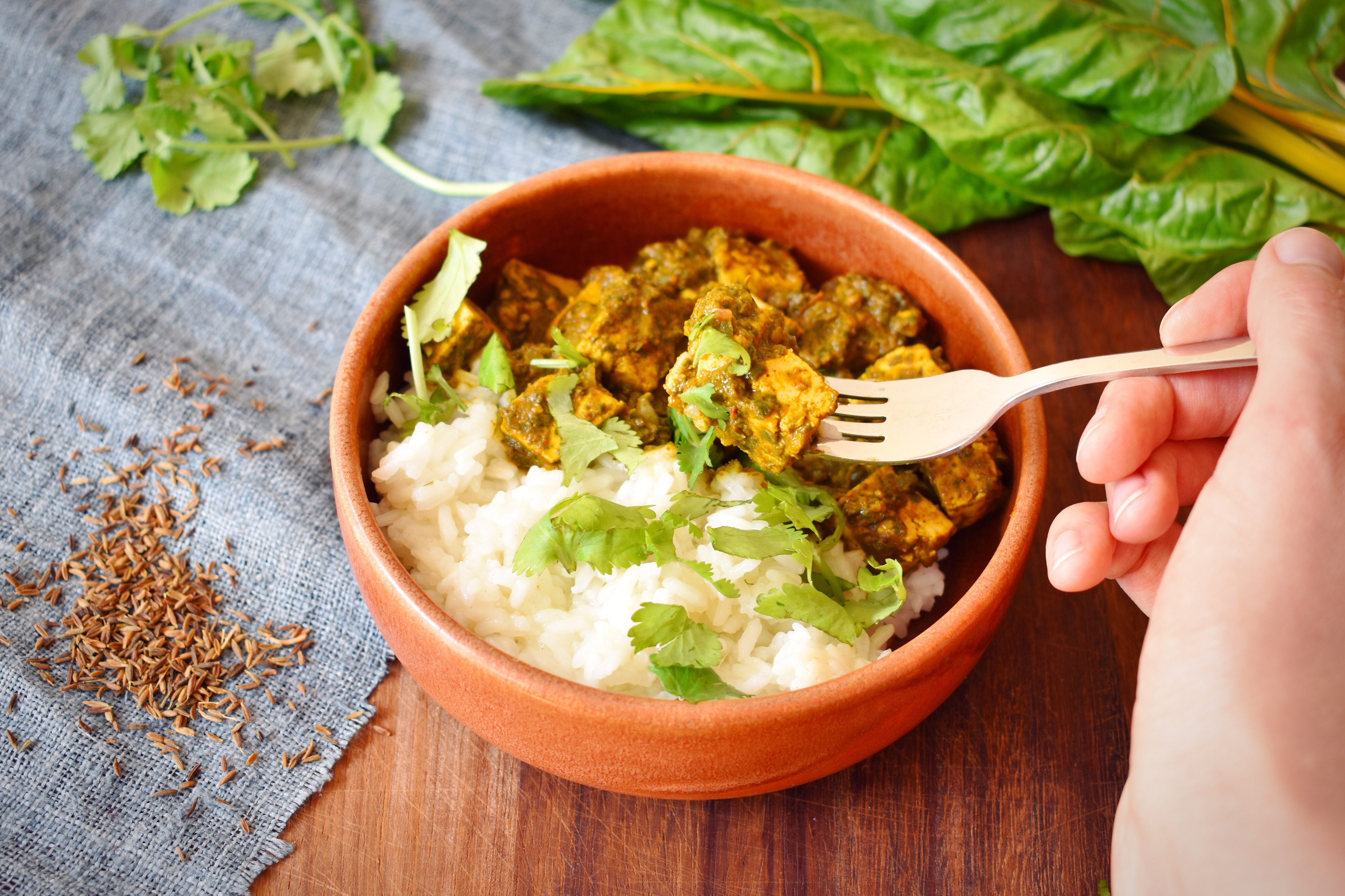 Indian Palak Tofu Curry