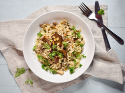 Oyster Mushroom Risotto