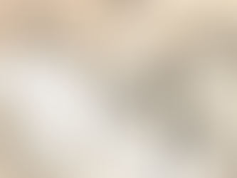 Diário do Profº Percival – Vol. 1