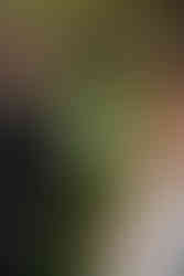 Penticton wedding rentals, wedding lawn games