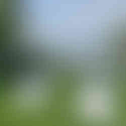 wedding lawn game rental in Penticton, personalized cornhole with Okanagan lake views in background