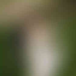 bride and groom playing Penticton wedding rentals, lawn game rentals, personalized cornhole on wedding day in Okanagan