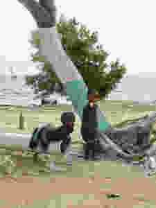 fullsizeoutput_9ee