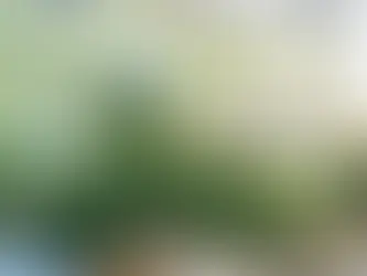 Barbie Dream Fest 2026: Pre-Event Brunch Before Immersive Experience (March 27-29)