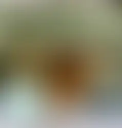 Brickell & Downtown Office Escape: Where Locals Go for a Long Friday Lunch That Feels Like Brunch