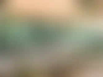 Green umbrella patio tables along a canal in Fort Lauderdale with palm trees and morning water views