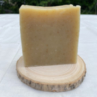 Moringa Oatmeal Bar