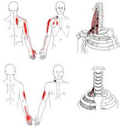 images-5
