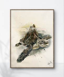 Léger comme la montagne
Aquarelle 
20 x 30