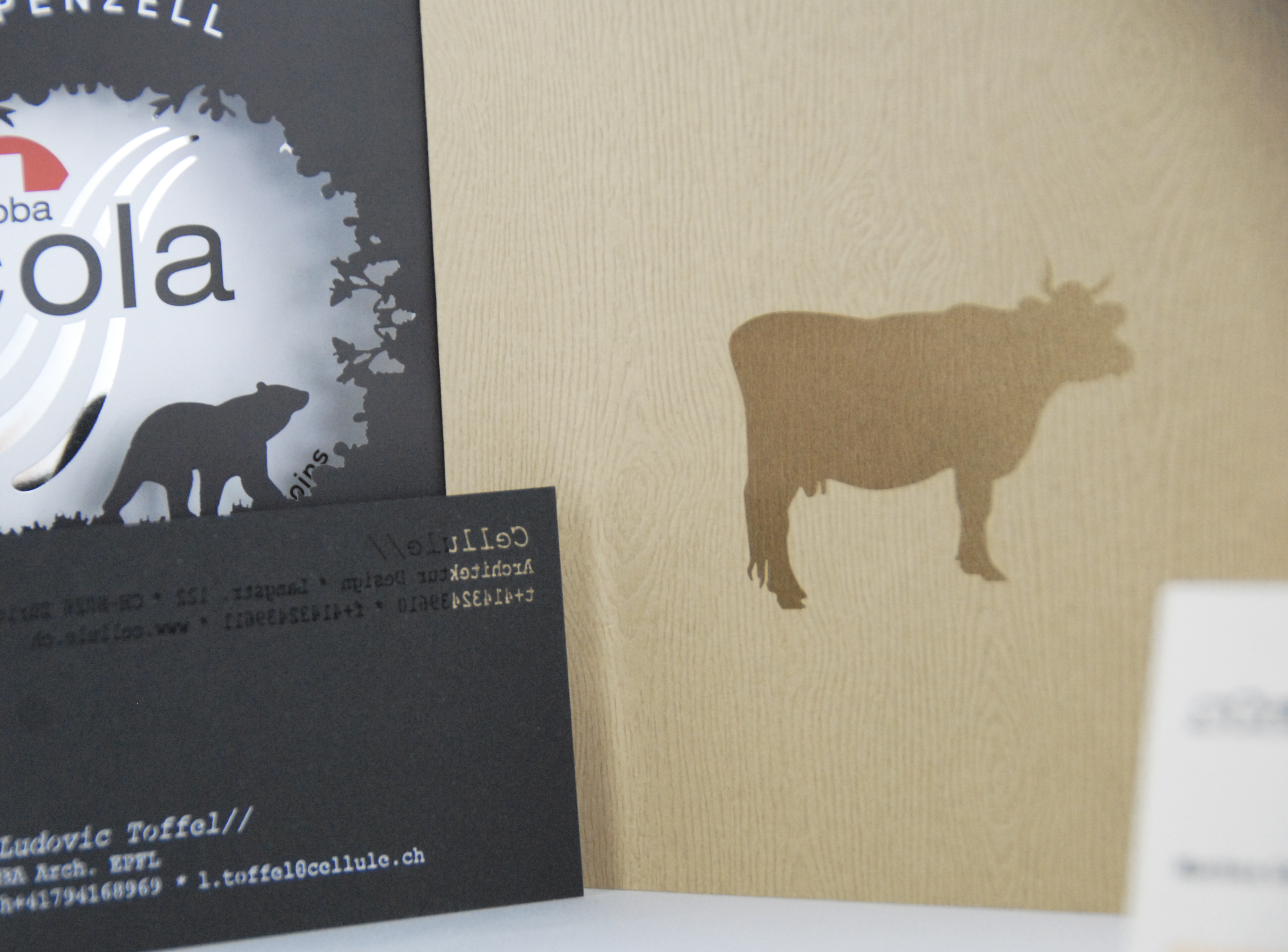 Lasercut Beispiele