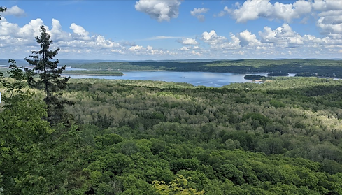 Randonnée pédestre Parc régional Lac Taureau
