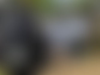 Household Collection by Eco Kolek: A Step towards Sustainable Waste Management