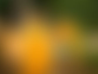 Roselyn Gomia: Inspiring Others to Join the Fight Against Plastic Pollution