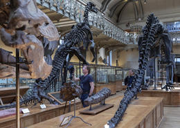 2019 - Muséum national d’histoire naturelle, Paris, France
