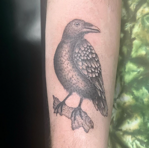 Screen Shot 2022-02-04 at 7.38.44 AM.png