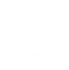 kapi-logo112.png