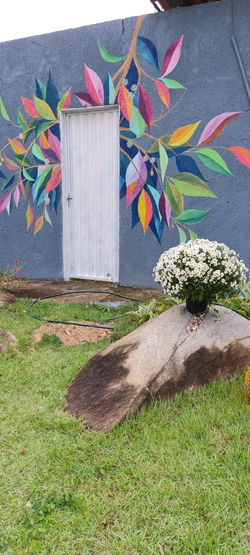 WhatsApp Image 2023-03-26 at 17.30.21 (1)