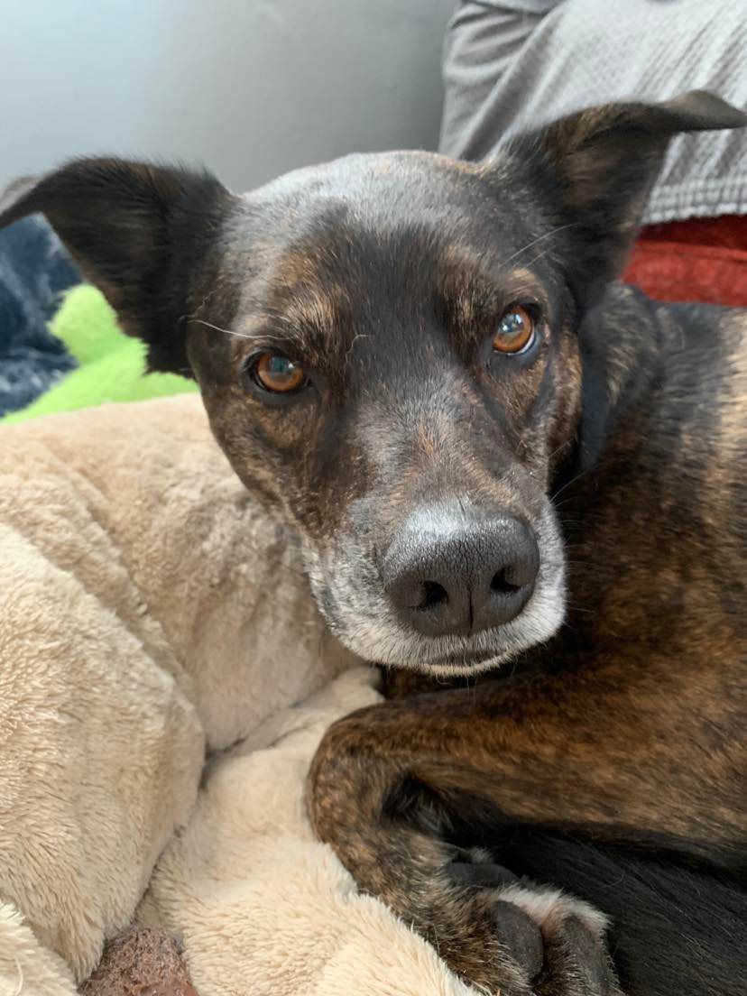 328078885_556423013083567_7403658546280588405_n