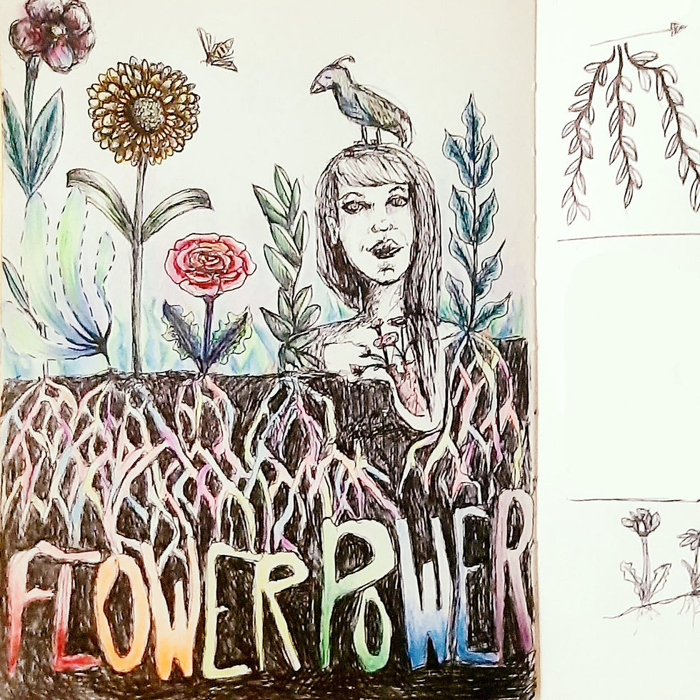 dessin de jardin avec fleurs et pollinisateurs
