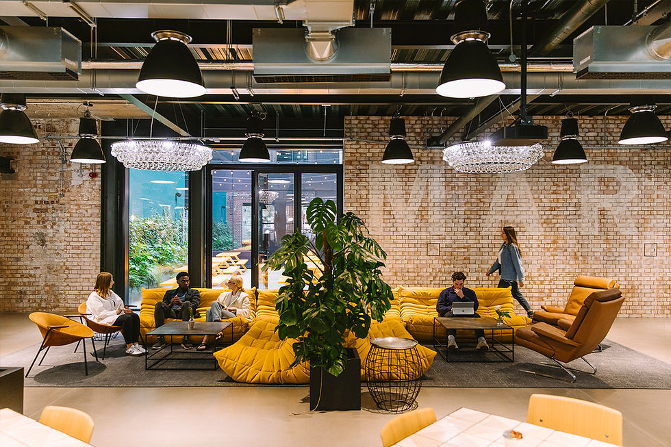 Creative Branding & Placemaking Studio | Zene & Co