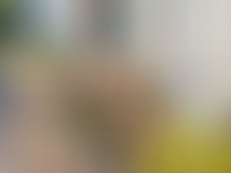 合気道場の初冬は、楽しい演武会の準備