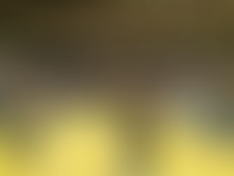 武道体験会が開催されました