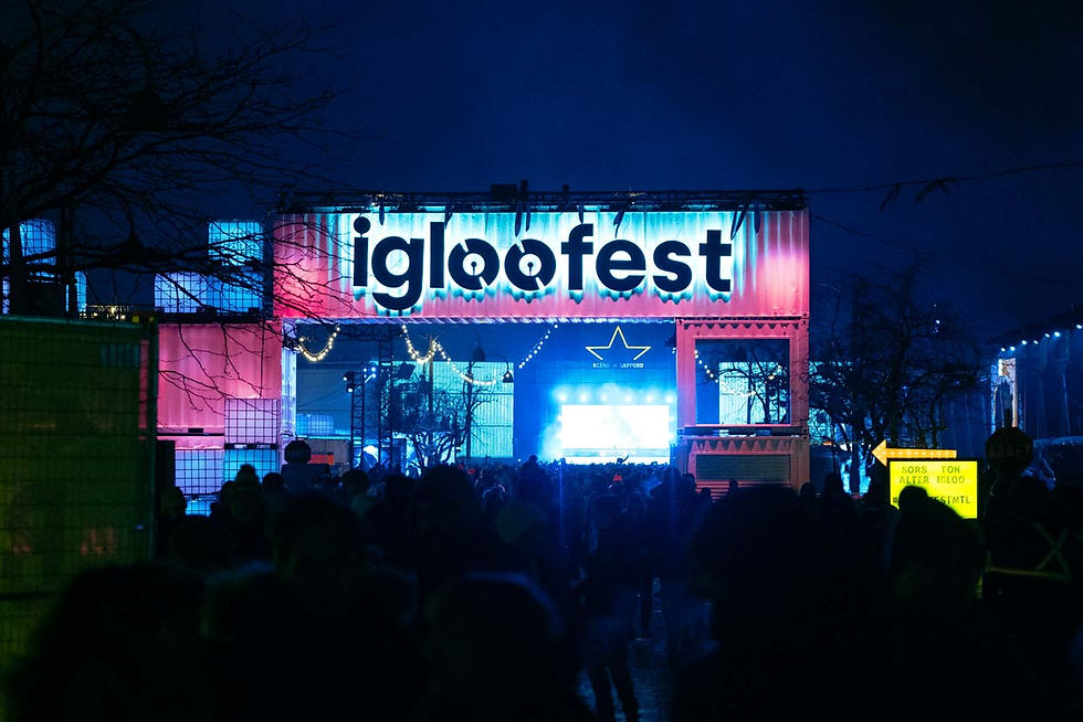 Igloofest-2024---libre-de-droit---_villedepluie_-20-(1).jpg