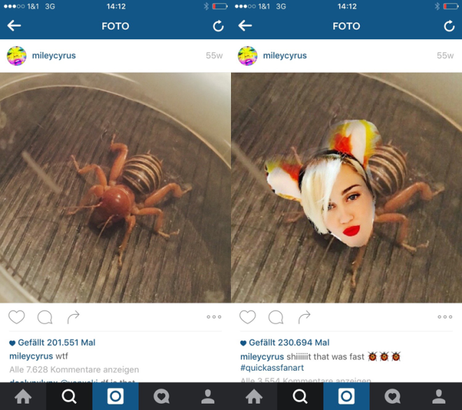 miley-cyrus-tier_gesamt