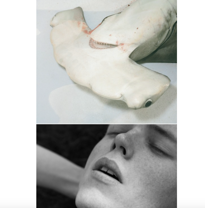 Bildschirmfoto 2015-08-22 um 16.06.50