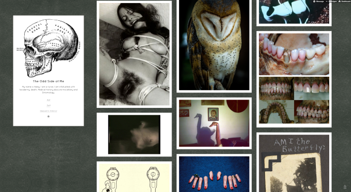 Tumblr-Blogger | The Odd Side of Me