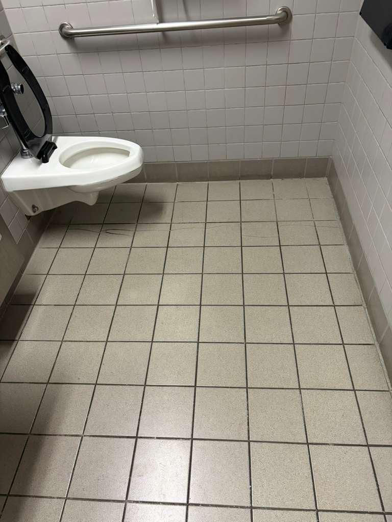 WhatsApp Image 2026-02-17 at 8.13.46 PM (3).jpeg