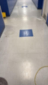 WhatsApp Image 2026-02-17 at 8.04.48 PM.jpeg