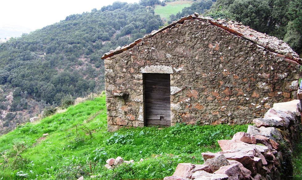Cuttoli Curtichjatu