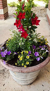 image2 (36).jpeg