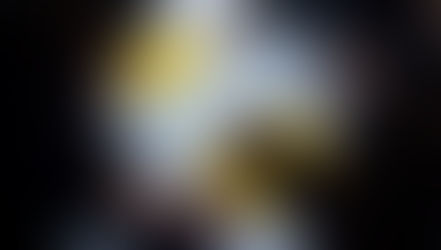 Inklusion durch politische Teilhabe