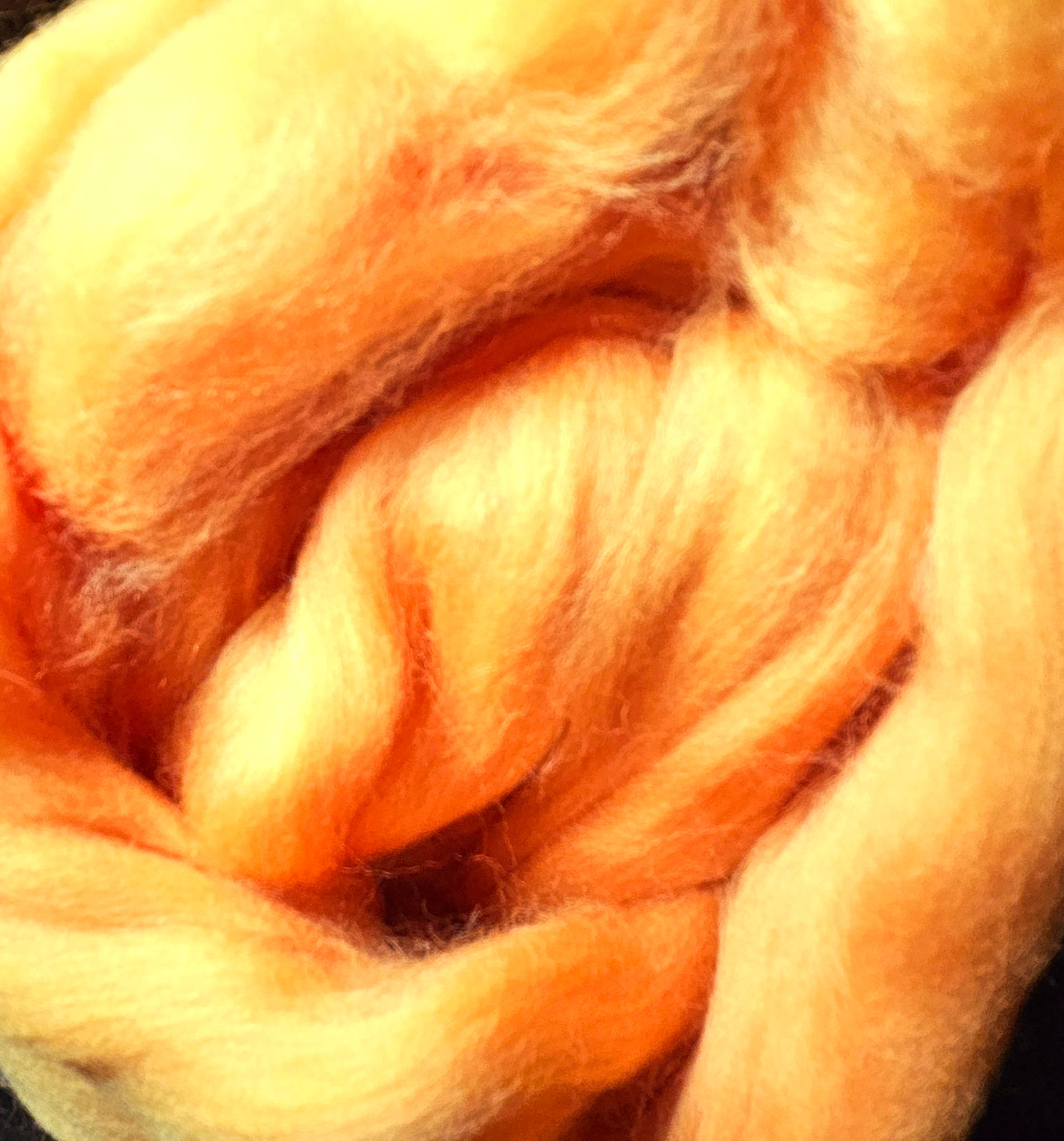 Merino solid dyed top - "Gold"