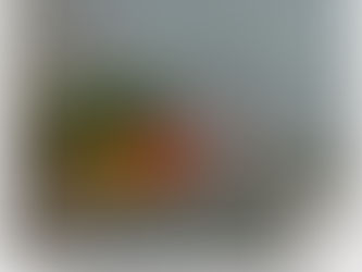 ¿Y tú con qué frecuencia te sales de tu presupuesto?