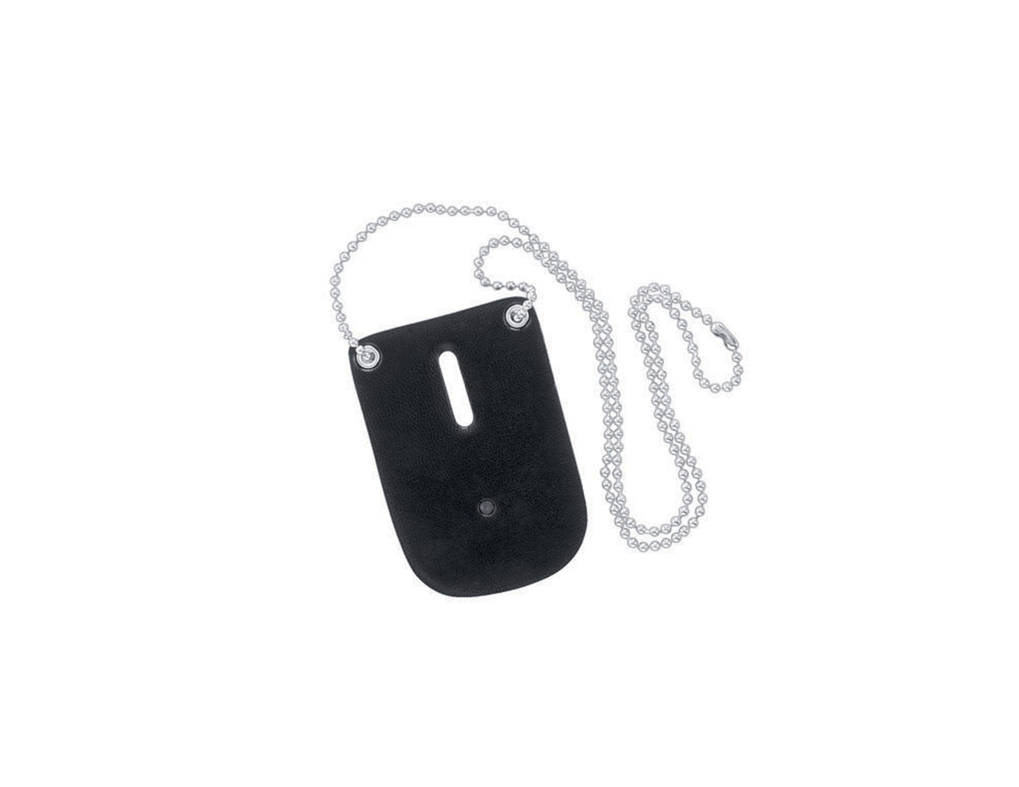 BADGE HOLDER WITH CHAIN