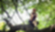 Girl climbing tree_websize.jpg