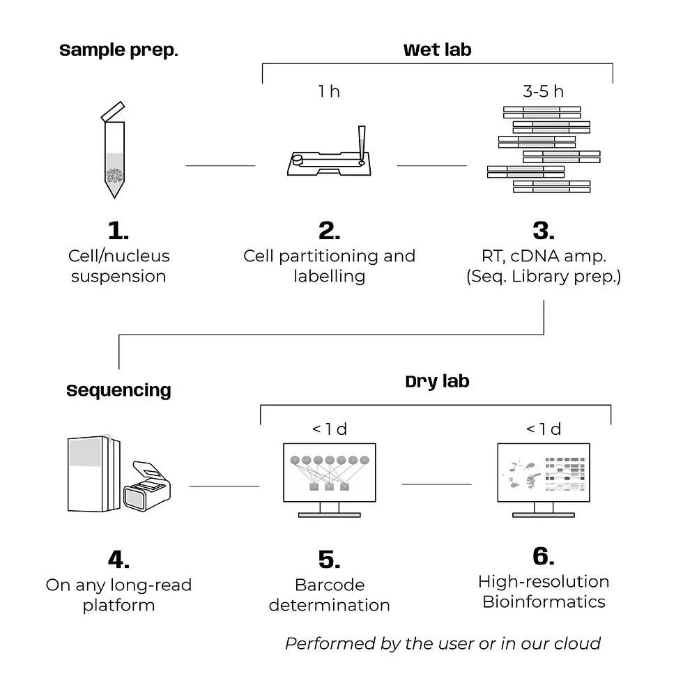 ArgenTag - Workflow 2026.webp
