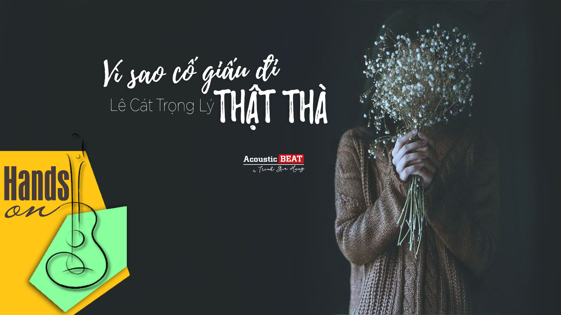 Vì sao cố giấu đi thật thà » Lê Cát Trọng Lý ✎ acoustic Beat by Gia Hưng