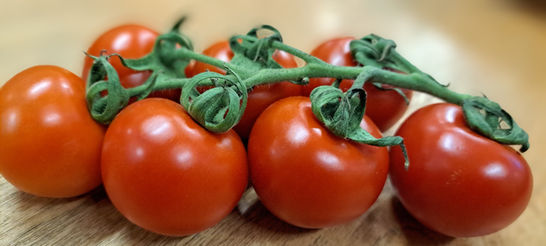 Cocktail tomato on the vine.