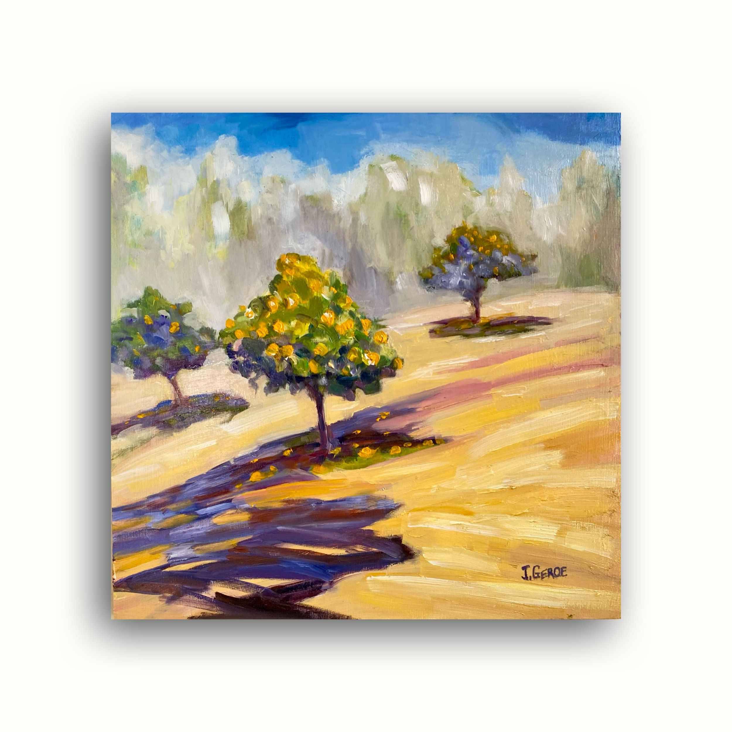 Afternoon in the Orange Grove