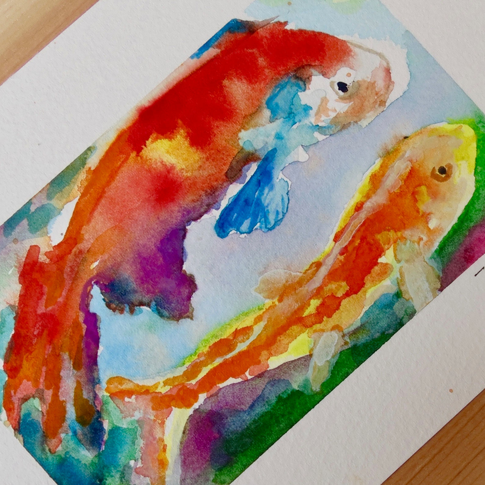 Watercolor Koi Painting